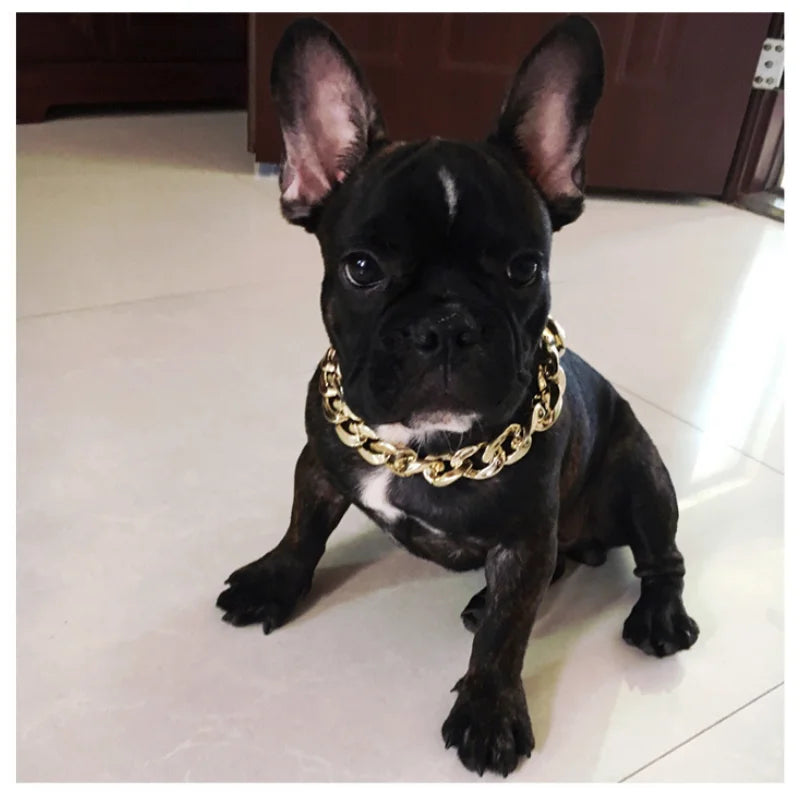 Gold Plastic Plated Collars for Dogs Electroplated Dog Chain for Pitbull Fashion Jewelry Dog Accessories for French Bulldog