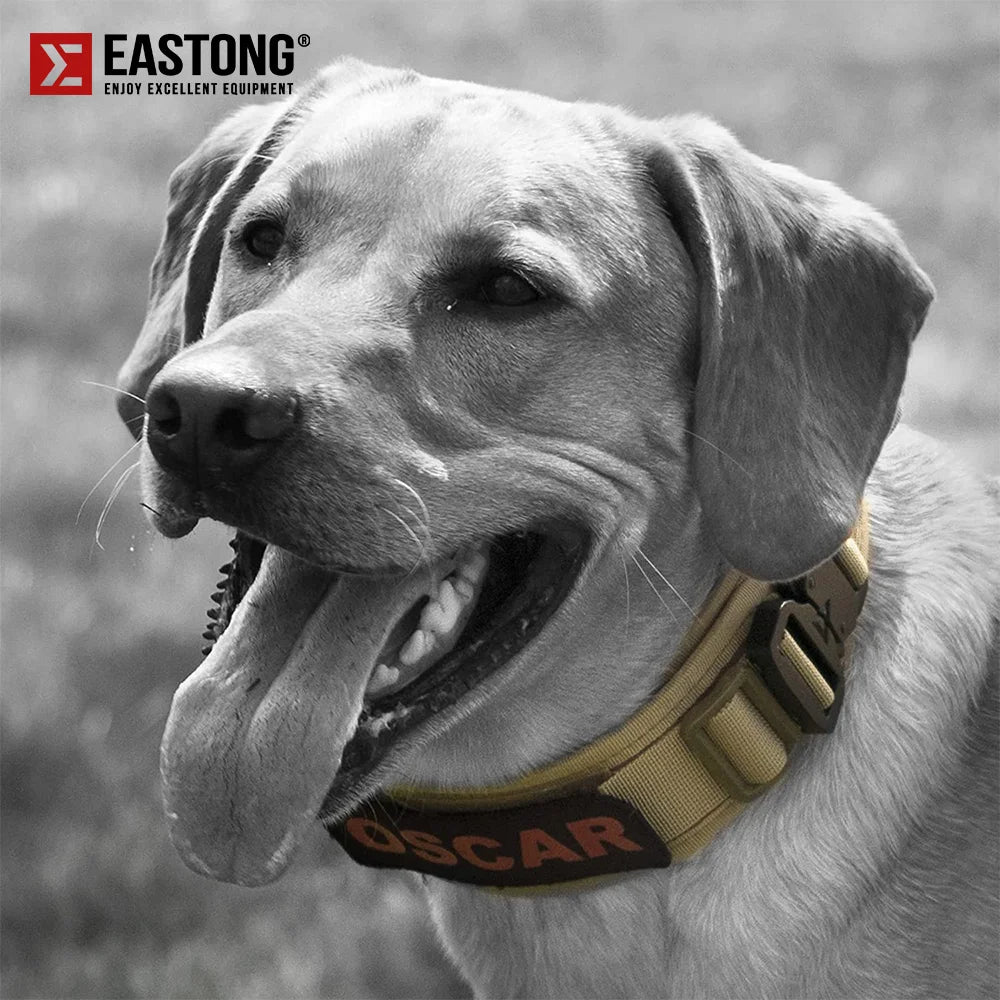 Reflective Nylon Tactical Dog Collar Classic Military Training with 2 Heavy Duty Metal Buckle Handle for Large  Dog Collar